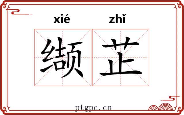 缬芷