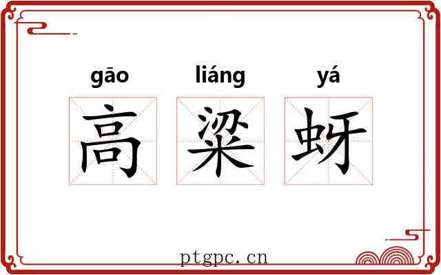 高粱蚜