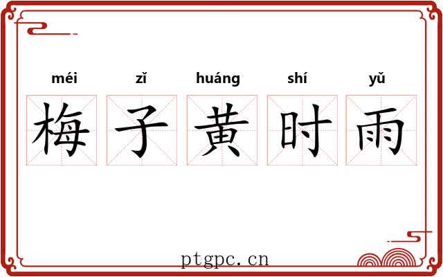 梅子黄时雨