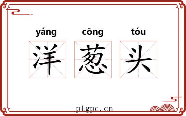 洋葱头 洋葱头