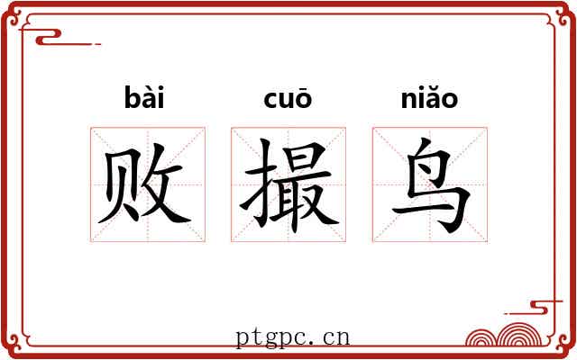 败撮鸟 败撮鸟