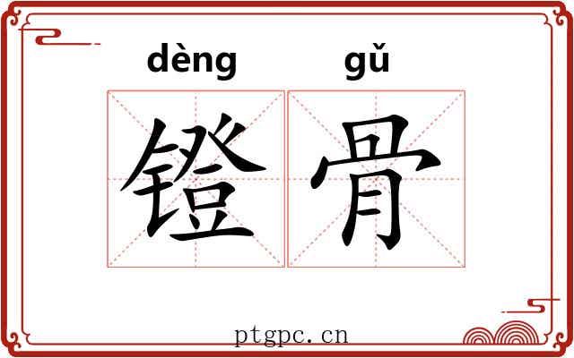 镫骨