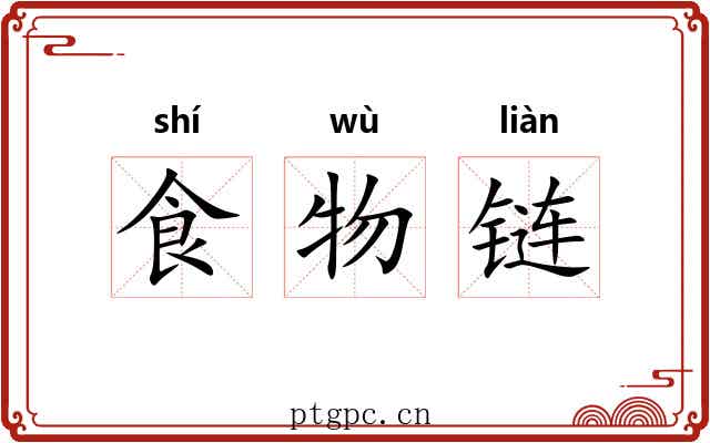 食物链