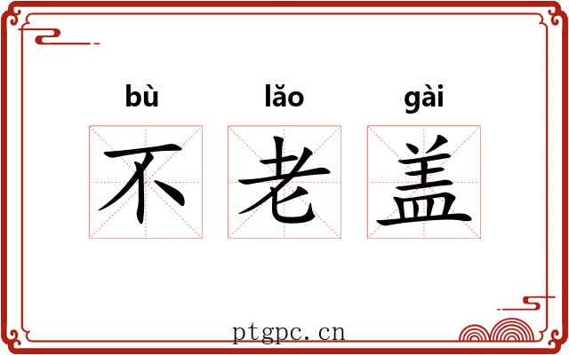 不老盖 不老盖