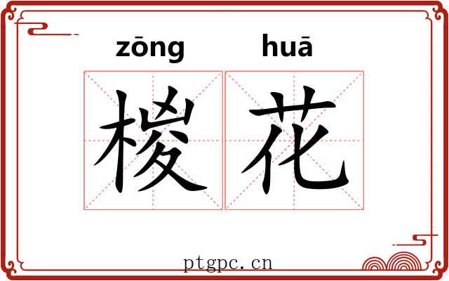 椶花