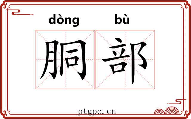 胴部