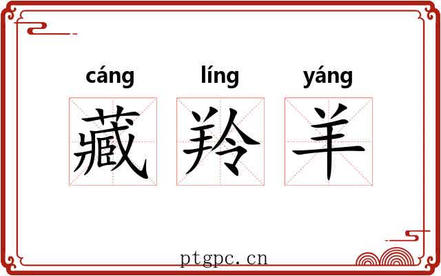藏羚羊 藏羚羊