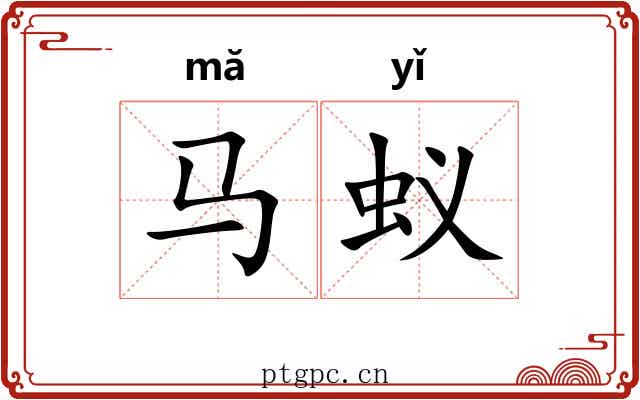 马蚁