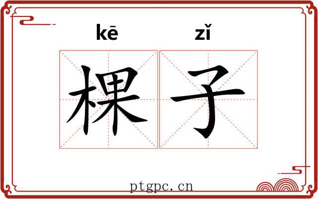 棵子