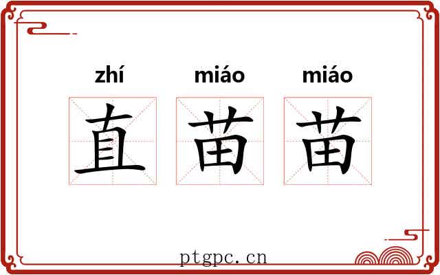 直苗苗