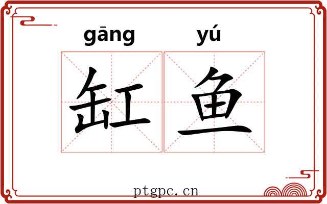 缸鱼
