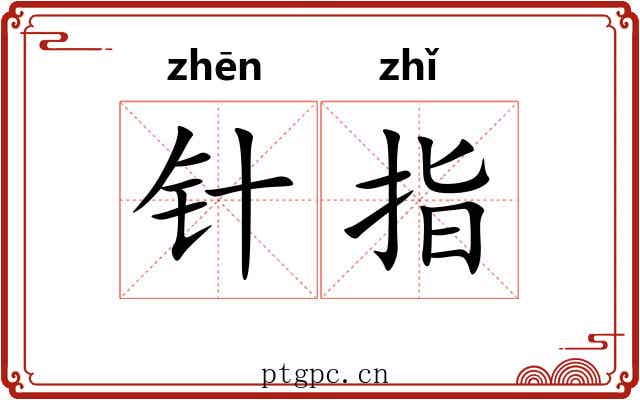针指