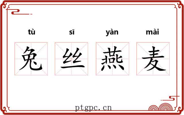 兔丝燕麦