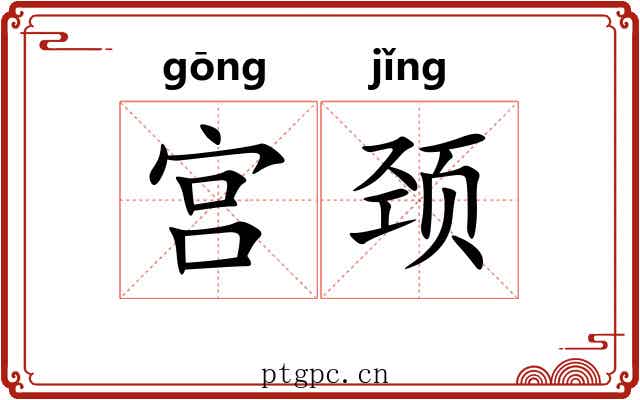 宫颈 宫颈