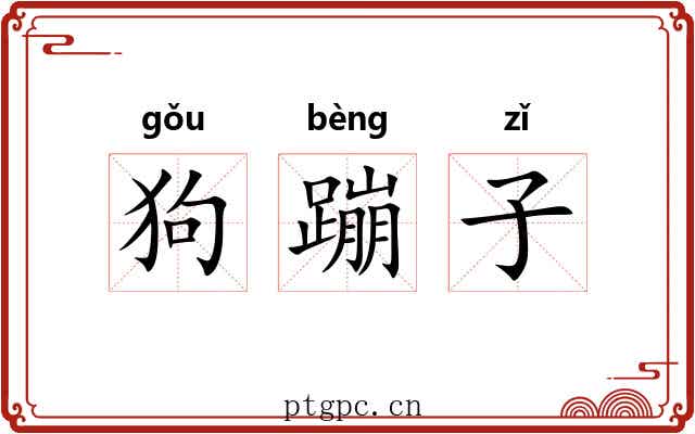 狗蹦子 狗蹦子