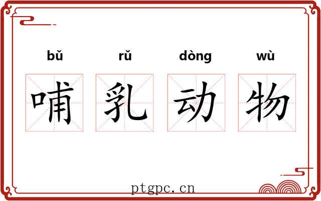 哺乳动物