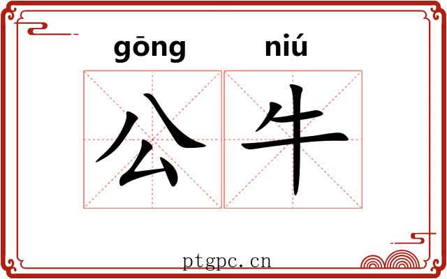 公牛