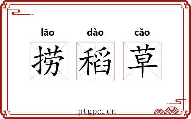 捞稻草 捞稻草