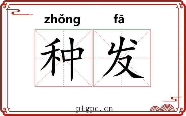 种发