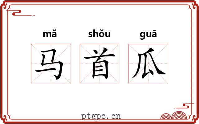马首瓜