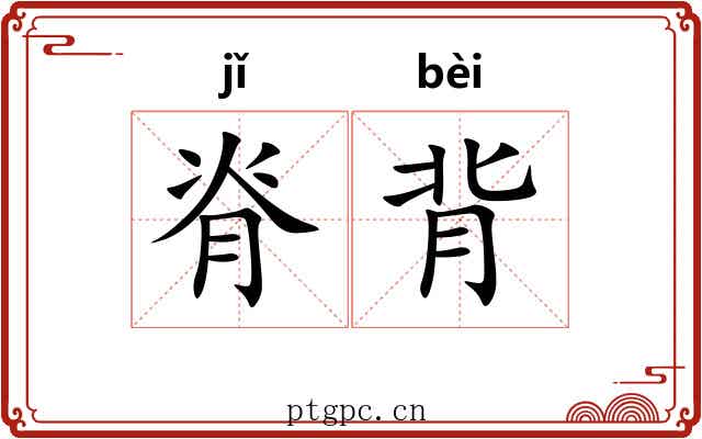 脊背 脊背