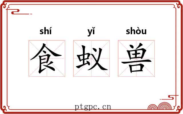 食蚁兽 食蚁兽