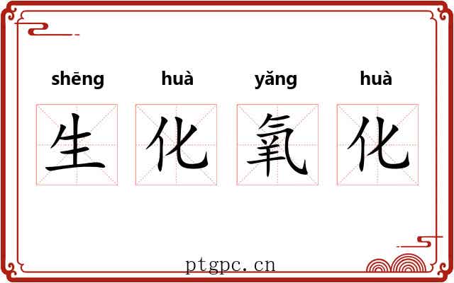 生化氧化 生化氧化