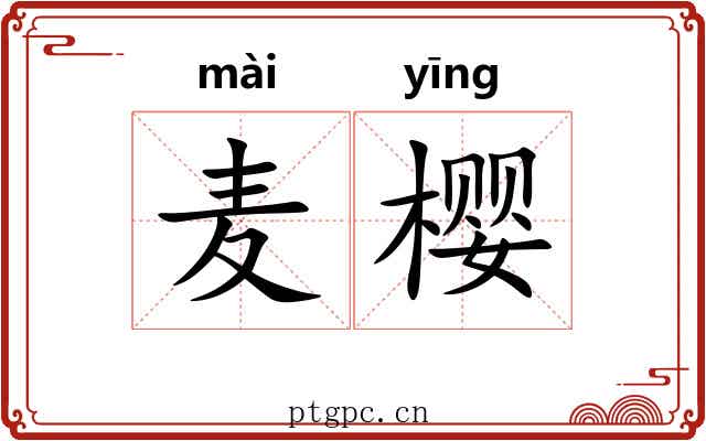 麦樱