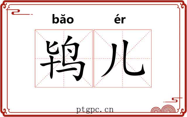 鸨儿