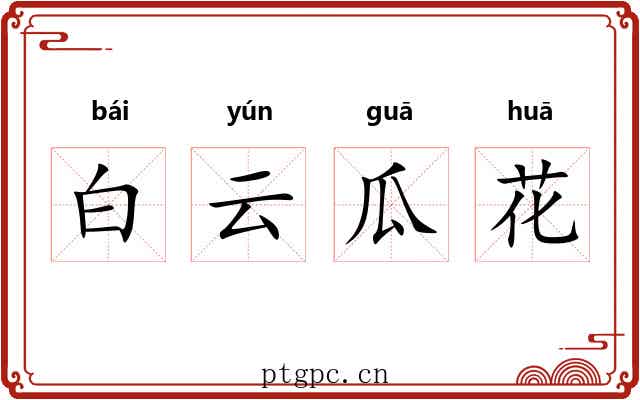 白云瓜花