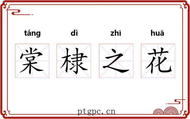 棠棣之花