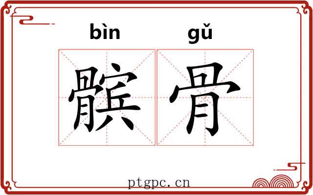 髌骨