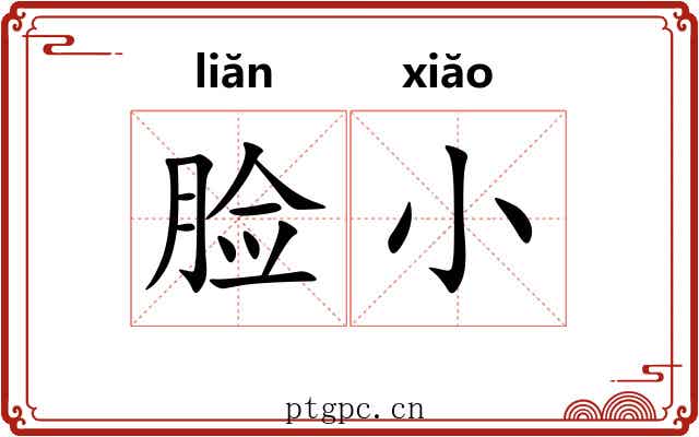 脸小