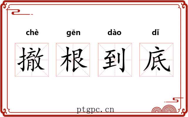 撤根到底