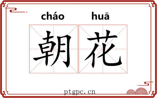 朝花