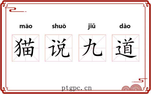 猫说九道
