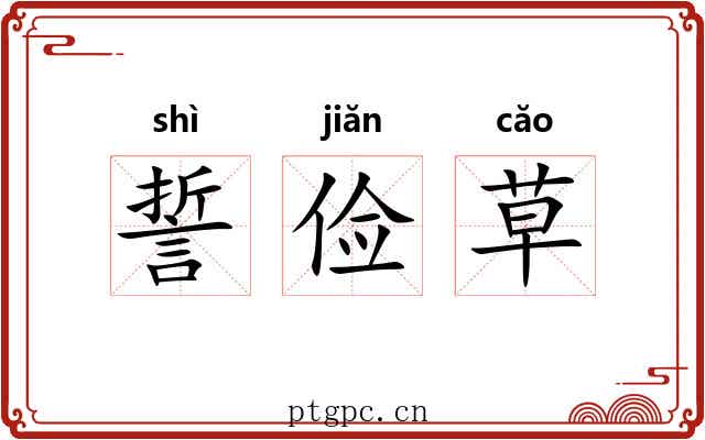 誓俭草