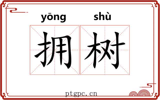 拥树 拥树