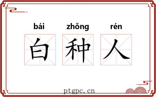 白种人 白种人