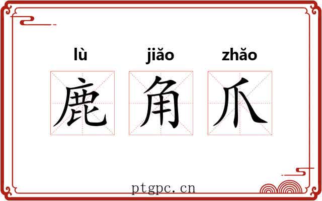 鹿角爪