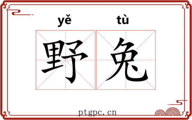 野兔