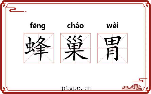 蜂巢胃 蜂巢胃