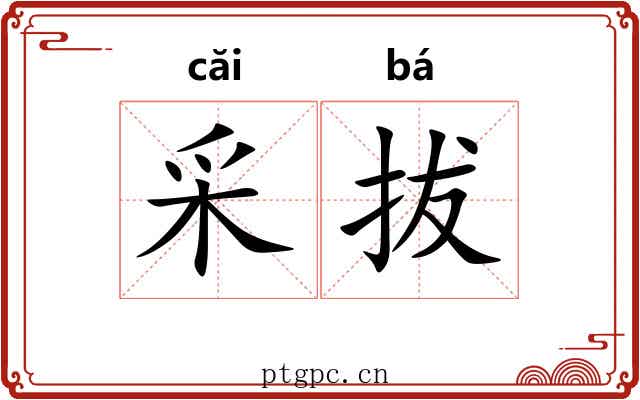 采拔