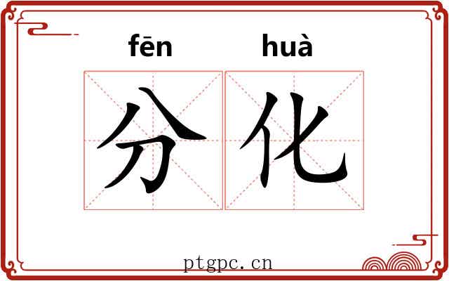 分化 分化