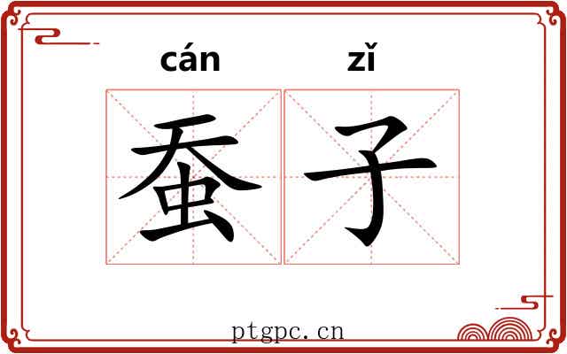 蚕子 蚕子