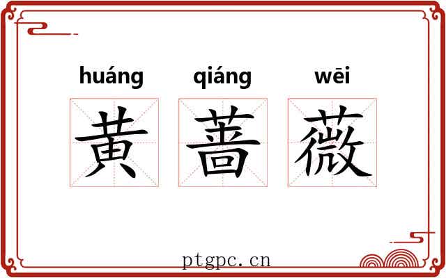 黄蔷薇
