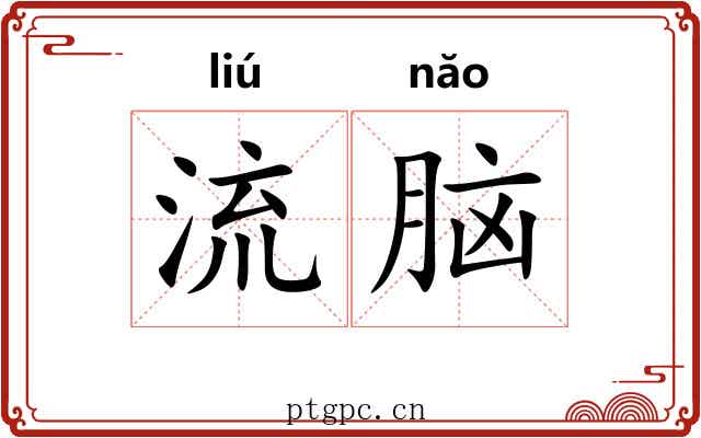 流脑