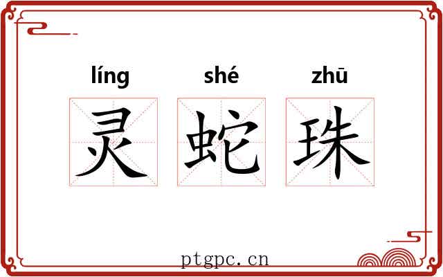 灵蛇珠