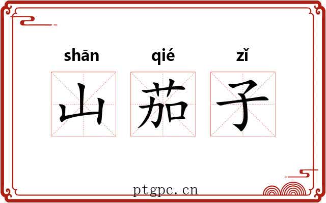 山茄子 山茄子