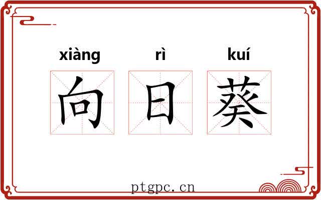 向日葵